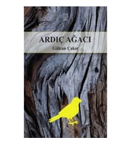 Ardıç Ağacı