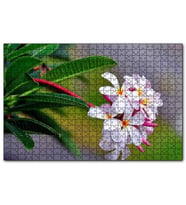 Cakapuzzle Beyaz Sarı Plumeria Çiçeği Görseli 120 Parça Puzzle Yapboz MDF(Ahşap)