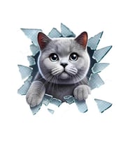 Araba Arka Cam için  Kedi Etiket Sticker 17Cm