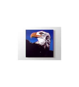 DBSanatevi Andy Warhol - Bald Eagle Tablo 35 X 35 Cm