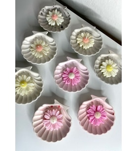 Mum Hediye Deniz Kabuğu 10 Adet (Karışık)