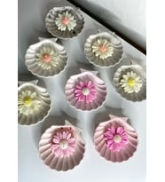 Mum Hediye Deniz Kabuğu 10 Adet (Karışık)