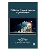 Türkiye'nin Ekonomik Sorunları Ve Çözüm Önerileri