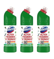 Domestos Çamaşır Suyu 750 ml Maksimum Hijyen Dağ Esintisi Yoğun Kıvamlı 8690637895166 (3 Adet)