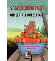 Bir Şeftali Bin Şeftali