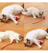 Şarjlı Kedi Oyuncağı
