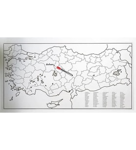 Türkiye Haritası Kağıt Tahta 110×56 Cm