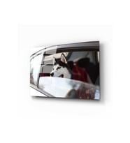 Miyrem Glasses Collection -A1^#  Köpek 4 Cam Tablo (Çok Renkli)