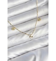 Pirinç Minimal Gold Renk Yonca Model Kadın Kolye - EBJ260725W44324