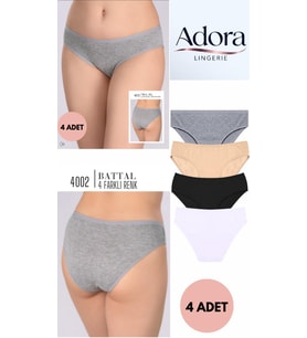 Ekonomik Paket 4 Renk Kadın Külot Battal Boy 4XXL-5XXL (Gri)