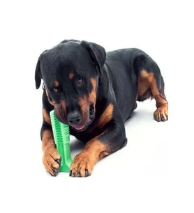 Köpek Diş Fırçası Isırma Aparatı Büyük Boy, Köpek Dişlik Yeşil