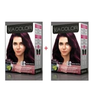 Sea Color 3.66 Patlıcan Moru 1 Kutuda 2 Boya