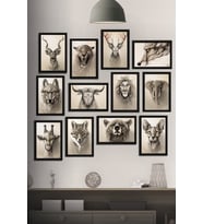 Çerçeve Görünümlü Hayvanlar Alemi Temalı Mdf Tablo Seti (80x80 Cm) 12 Parça