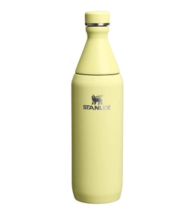 Stanley The All Day Slim Su Şişesi 0.6 Lt Pomelo