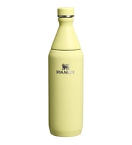 Stanley The All Day Slim Su Şişesi 0.6 Lt Pomelo