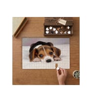 Yatan Sevimli Yavru Köpek Tasarımı 240 parça Ahşap Puzzle Ahşap Kutuda MP02632