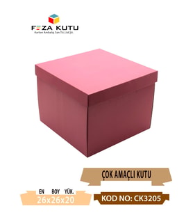 26x26x20 Çok Amaçlı Kutu Karton Kutu Pasta Kutusu (10 Adet)