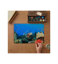 Aslan Balığı - Renkli Sualtı Canlıları Tasarımı 240 parça Ahşap Puzzle Ahşap Kutuda MP02742