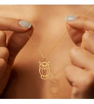 Minimal Baykuş Kolye 925K Gümüş (Gold)
