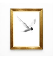 Tablore Minimalist Siyah Beyaz Uçan Kuş Altın Çerçeveli Tablo