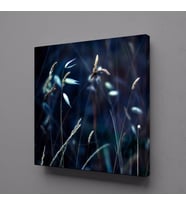 ÇİÇEK TARLASI KANVAS TABLO 25x25cm (Karışık)