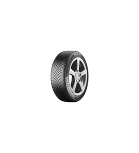205/55 R16 91T Speedgrip 5 Kış Lastiği 2025