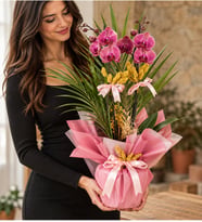 Pembe Buketli Saksıda Ateş Kırmızı Orkide ve Fenix