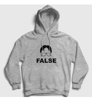 Presmono Unisex Gri False Dwight Schrute Dizi The Office Kapüşonlu Sweatshirt 345528tt (Gri)