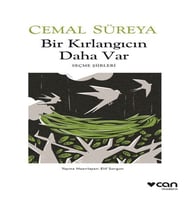 Bir Kırlangıcın Daha Var