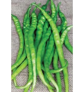 Acı Kıl Biber Tohumu 10 Gr