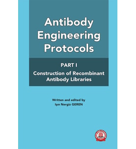 Antibody Engineering Protocols Part-1