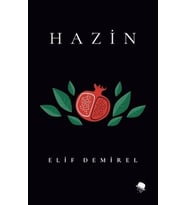 Hazin