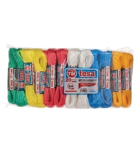 Temsan 20 Metre Naylon Çamaşır İpi 24'lü