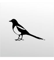 Folyo Sticker Muhabbet Kuşu 40cm Uzunluk (Karışık)