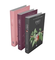 Rüzgârın Kızı Emily Serisi (3 Kitap)