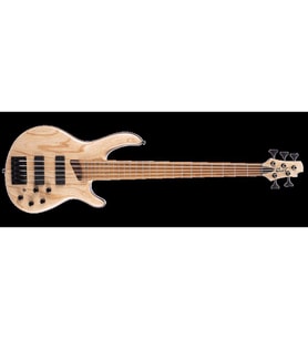 CORT B5 ELEMENT OPN