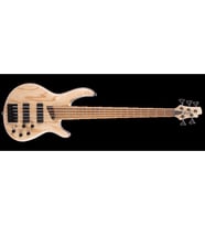 CORT B5 ELEMENT OPN