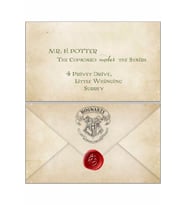 Harry Potter Hogwarts Davet Mektubu (Karışık)