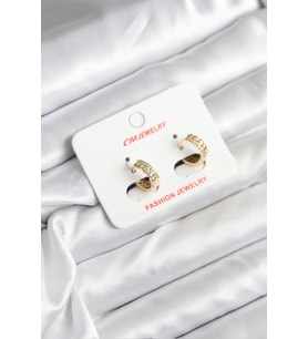14K Gold Renk Kaplama CM Kadın Küpe TJ-BKP11407