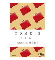 Aramızdaki Şey