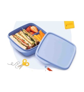Tupperware Bölmeli Beslenme Kabı (Bebe Mavisi)