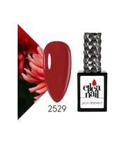 Profesyonel Kalıcı Oje 15 ml 2529