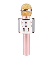 Ws-858 Karaoke Mikrofon