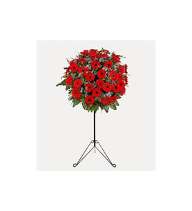 KIRMIZI GERBERA FERFOJE