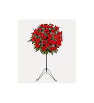 KIRMIZI GERBERA FERFOJE