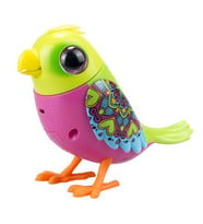 Digibirds Tekli Paket Seri 1 - Model 3