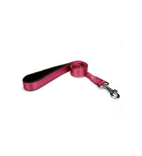 DOGGİE DGZT 25MPURPLE 2.5X120 CM GEZDİRME