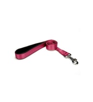 DOGGİE DGZT 25MPURPLE 2.5X120 CM GEZDİRME