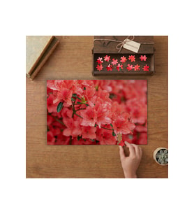 Açelya Çiçeği Tasarımı 240 parça Ahşap Puzzle Ahşap Kutuda MP06086
