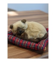 Peluş Yavru Kedi Oyuncak Minder Üstünde Uyuyan Kedi Orta Boy